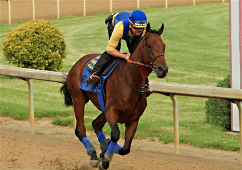 American Pharaoh, a past Kentucky Derby winner, at Churchill Downs / AP