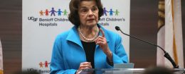 Sen. Dianne Feinstein / Getty Images