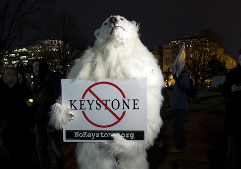 An activist dressed as a polar bear participates in a protest vigil in Lafayette Park across from the White House