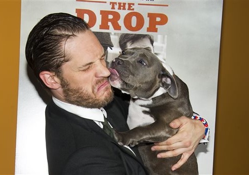 Tom Hardy and the dog Rocco / AP
