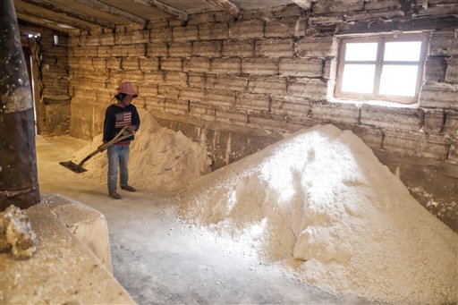 A girl shovels salt inside a Salt factory