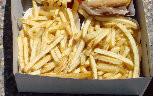 in-n-out fries